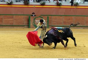 fichero_172742_20161003