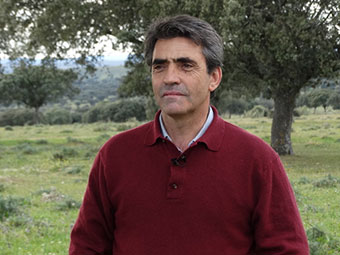 ca511119-f713-4f56-a8e5-ea58dcaca572