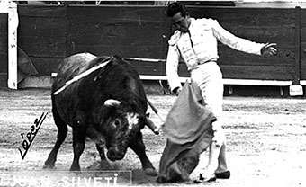 silveti-toros-morelia