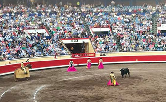 40160102_2203668819917751_7006837422247903232_n