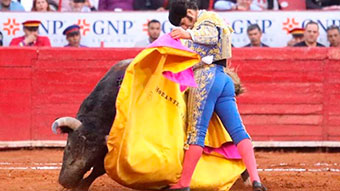 f800x450-160473_211919_15